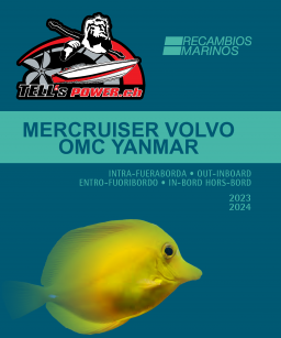 Innenbord-Motoren